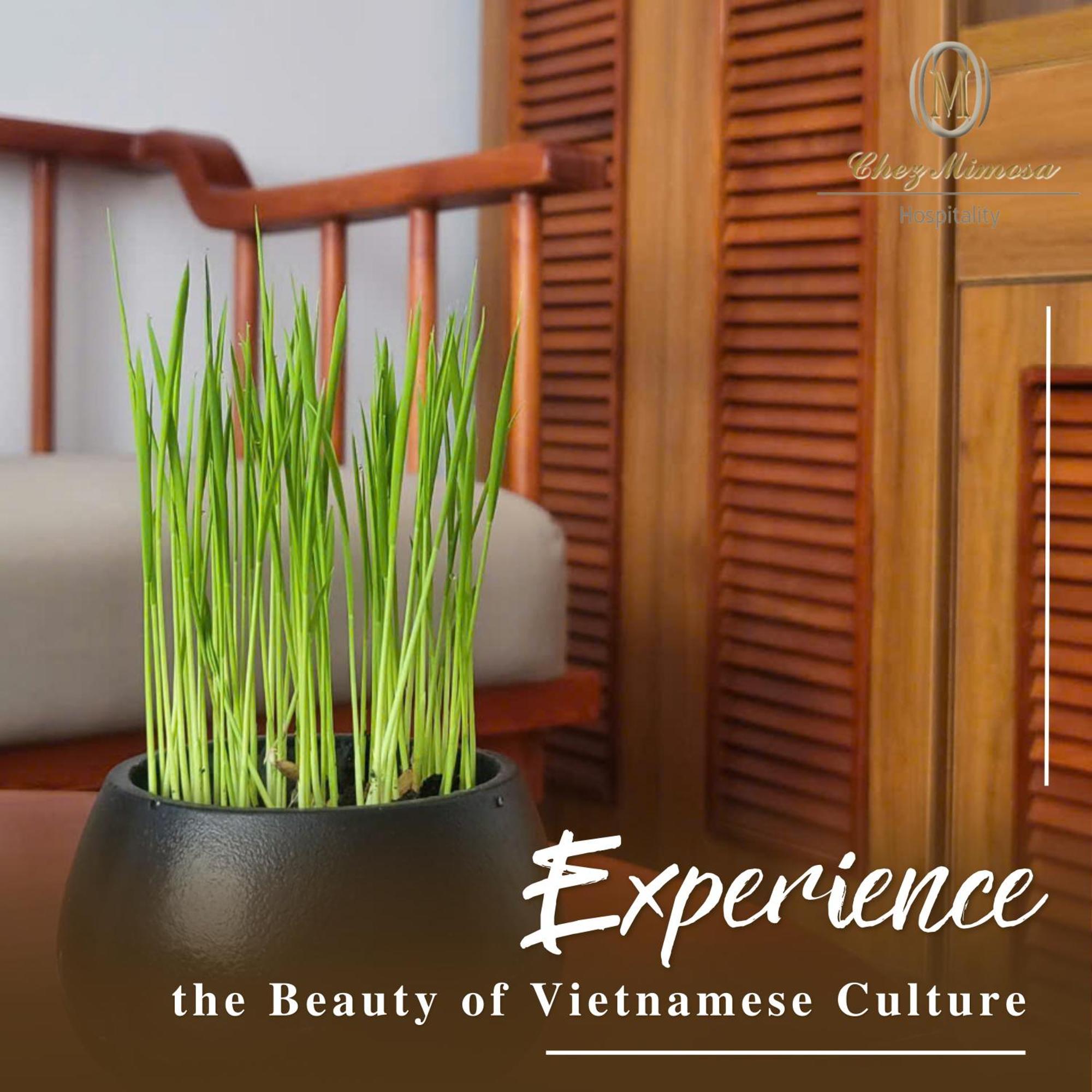 Chez Mimosa Homestay Ho Chi Minh City Exterior photo